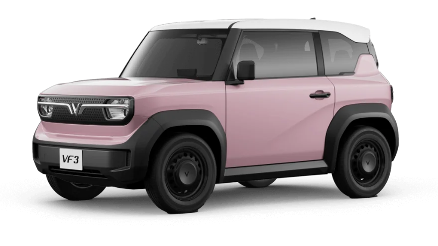 Rose Pink - Hồng Thời Trang